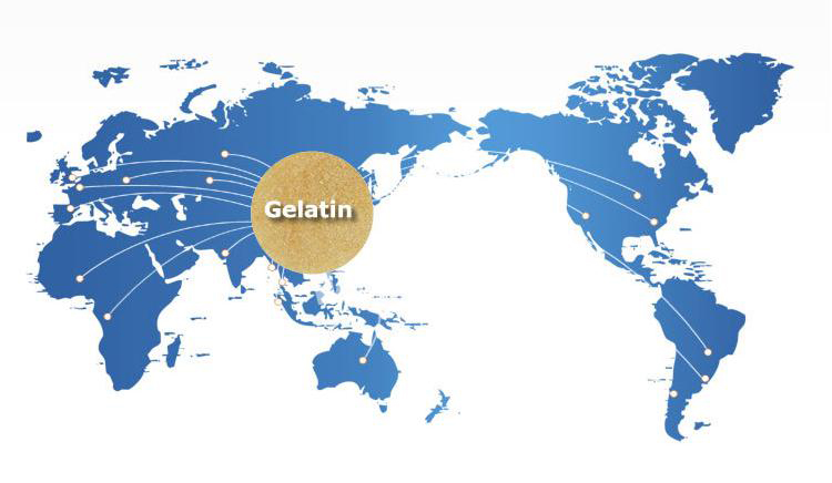 About Gelatin